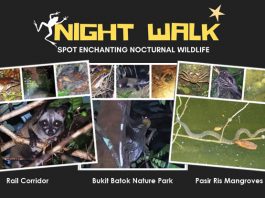 Little Night Outings: Nature Night Walks at Three Parks