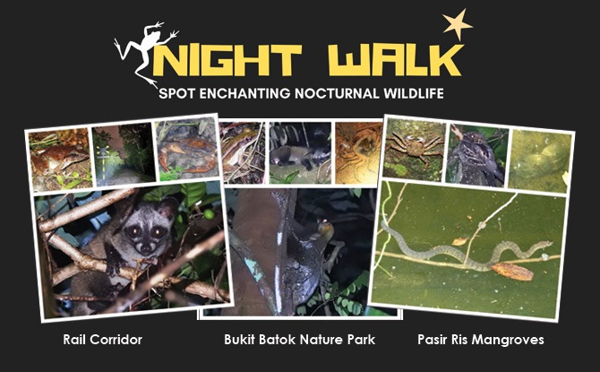 Little Night Outings: Nature Night Walks at Three Parks