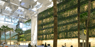 00-Arrival-Hall-view-of-the-Green-Wall-Terminal-3