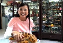The Live Turtle And Tortoise Museum At Orto: A Close Encounter With Wandering Reptilians 00-Connie-Turtle-Museum1
