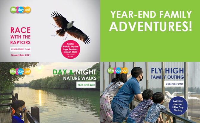 Little Day Out’s Wild & Wonderful Year End Programme