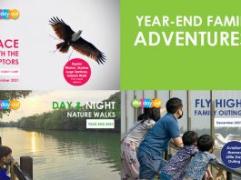 Little Day Out’s 2021 Wild & Wonderful Year-end Family Bonanza