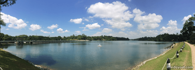 MacRitchie