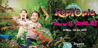 RepTopia & Zoolympix 2017 at Singapore Zoo