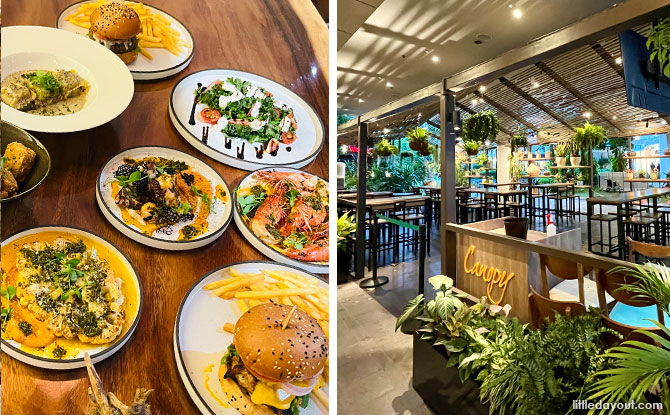 Canopy Changi City Point: Modern Cuisine Amidst Fresh Greenery At The Oasis