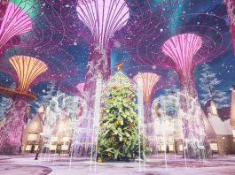 Supertree Grove Christmas Wonderland