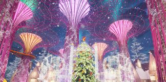 Supertree Grove Christmas Wonderland