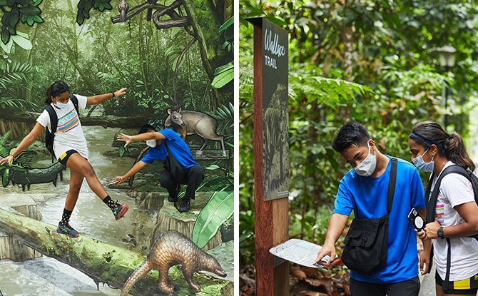 New Permanent Exhibition & Enhancements Unveiled At Wallace Trail, Dairy Farm Nature Park