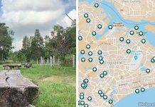 Find A Park In Singapore With Little Day Out’s Interactive Parks Map Explore a Park