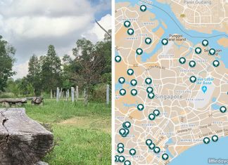 Find A Park In Singapore With Little Day Out’s Interactive Parks Map Explore a Park