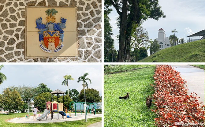 Mount Emily Park: Hidden Hilltop Greenery In The City