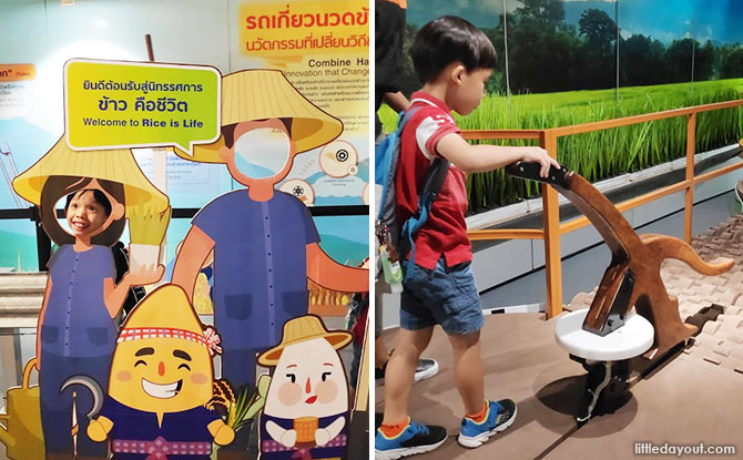 Rice Is Life Exhibition: Appreciating Every Grain Of Harvest At Science Centre Singapore 00-rice-is-life-exhibition