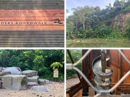 Rifle Range Nature Park: Quarry Wetland, Colugo Look Out & 7KM Of Trails