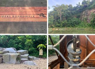 Rifle Range Nature Park: Quarry Wetland, Colugo Deck & 7 KM Of Trails Rifle Range Nature Park: Quarry Wetland, Colugo Look Out & 7KM Of Trails