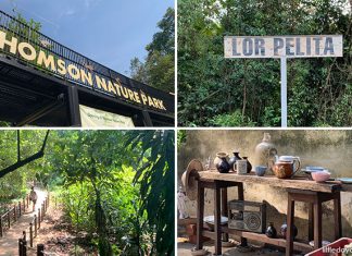 Thomson Nature Park: Walk Amongst The Ruins Of A Hainanese Village Thomson Nature Park