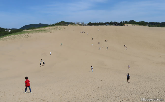 Tottori Sand Dunes and Sand Museum: A Simply Sandsational Day Trip to Tottori, Japan
