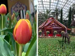 Tulipmania 2021 At Gardens By The Bay: Discover The Cultural Heritage Of Kazakhstan
