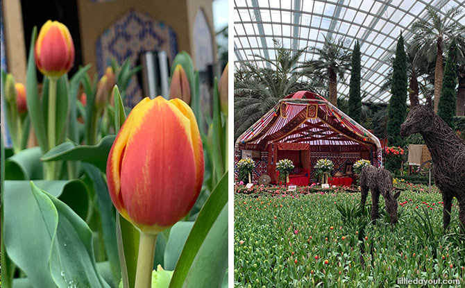 Tulipmania 2021 At Gardens By The Bay: Discover The Cultural Heritage Of Kazakhstan