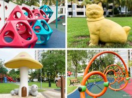 Vista Park: Playground In The Cards