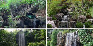 Rediscover Singapore: 8 Of The Most Photogenic Waterfalls In Singapore