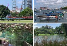 West Coast Park: Ultimate Guide To Little Known Places & All That You Can Do Across Its 3 Areas West Coast Park: Ultimate Guide To Little Known Places & All That You Can Do