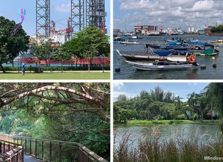 West Coast Park: Ultimate Guide To Little Known Places & All That You Can Do Across Its 3 Areas West Coast Park: Ultimate Guide To Little Known Places & All That You Can Do