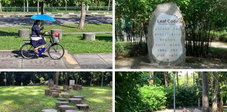 Yishun Park: Plantation Past, Playgrounds & Dipterocarpus Arboretum