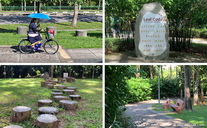 Yishun Park: Plantation Past, Playgrounds & Dipterocarpus Arboretum