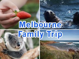 000-melbourne-family-trip