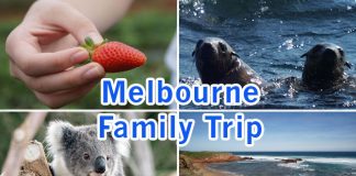 000-melbourne-family-trip