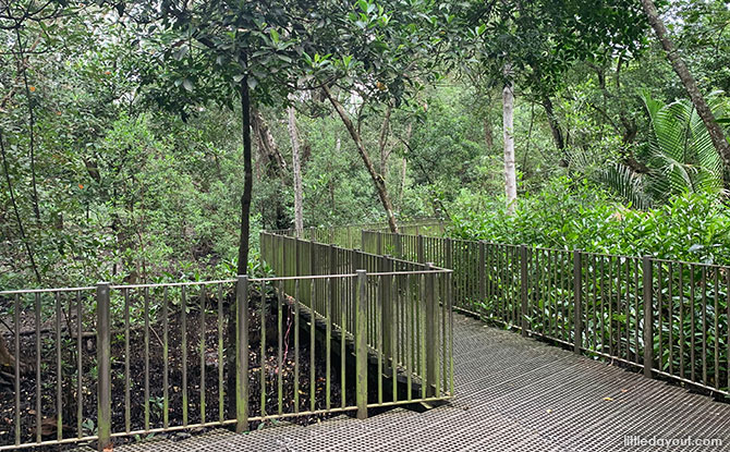 Boardwalk at Admiralty Park