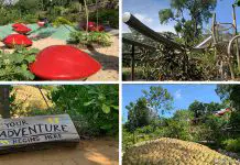 COMO Adventure Grove: Weeping Fig, Saga Seeds & Giant Cempedak At Singapore Botanic Gardens’ Playground COMO Adventure Playgrove: Nature Playgarden at Singapore Botanic Gardens