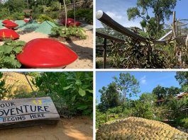 COMO Adventure Playgrove: Nature Playgarden at Singapore Botanic Gardens