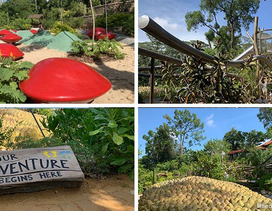 COMO Adventure Playgrove: Nature Playgarden at Singapore Botanic Gardens