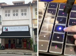 The Gem Museum: From Mine To Market, The Story Of Precious Stones