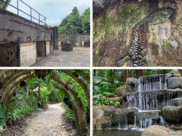 Mount Imbiah Trail and Nature Walk, Sentosa: Dragon Waterfall & WW2 Ruins