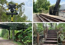 Rail Corridor Central: Walking From Bridge To Bridge & The Landmarks Along The Way