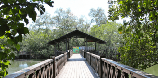 00b-Sungei-Buloh-08