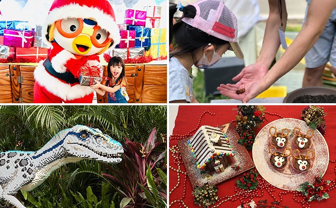 15+ Best Activities & Things To Do During The Year-End School Holidays 2021