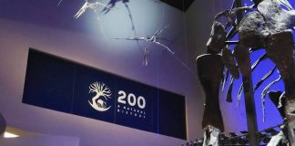 A Look Back At 200: A Natural History At Lee Kong Chian Natural History Museum