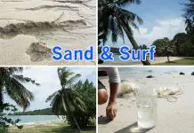 01-Best-Beaches-in-SG