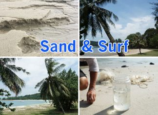 Best Beaches In Singapore For The Perfect Day With Sand & Surf 01-Best-Beaches-in-SG