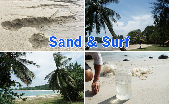 Best Beaches In Singapore For The Perfect Day With Sand & Surf 01-Best-Beaches-in-SG
