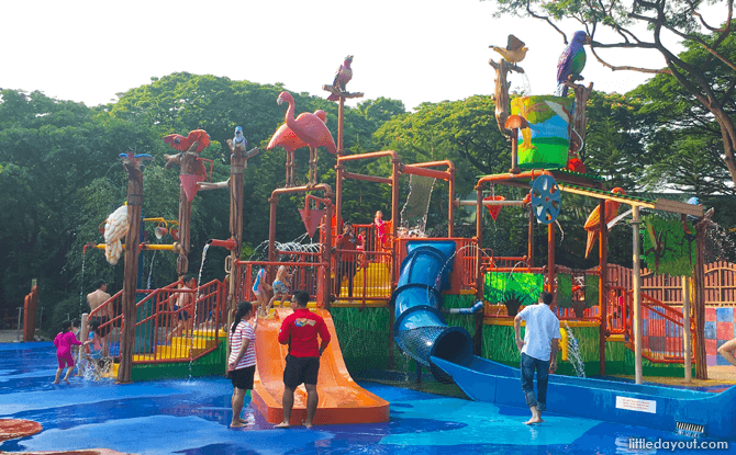 Birdz of Play at Jurong Bird Park Timings - Wet Area till 5.30 pm; Dry Area till 6 pm 