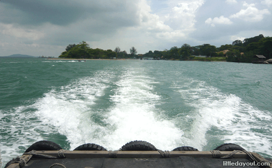 Boat Waves