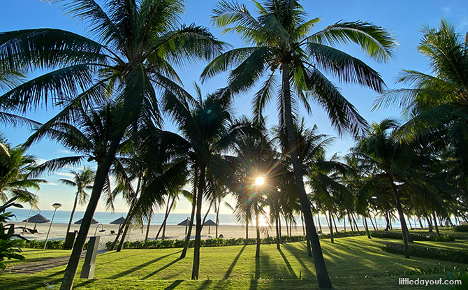 Danang Marriott Resort And Spa Review - 1114 Coconut Trees Here