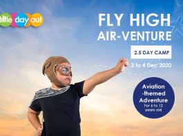 Little Day Out's Fly High Air-venture Camp & Outing