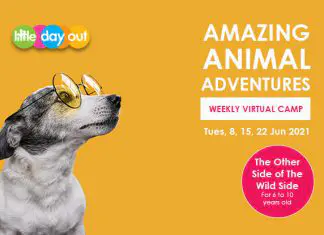 Little Day Out’s Amazing Animal Adventures