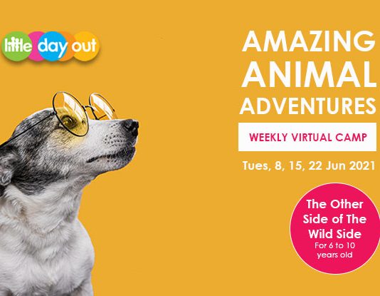 Little Day Out’s Amazing Animal Adventures