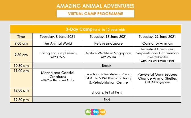 Little Day Out’s Amazing Animal Adventures Programme